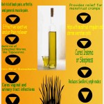 castor oil health benefis